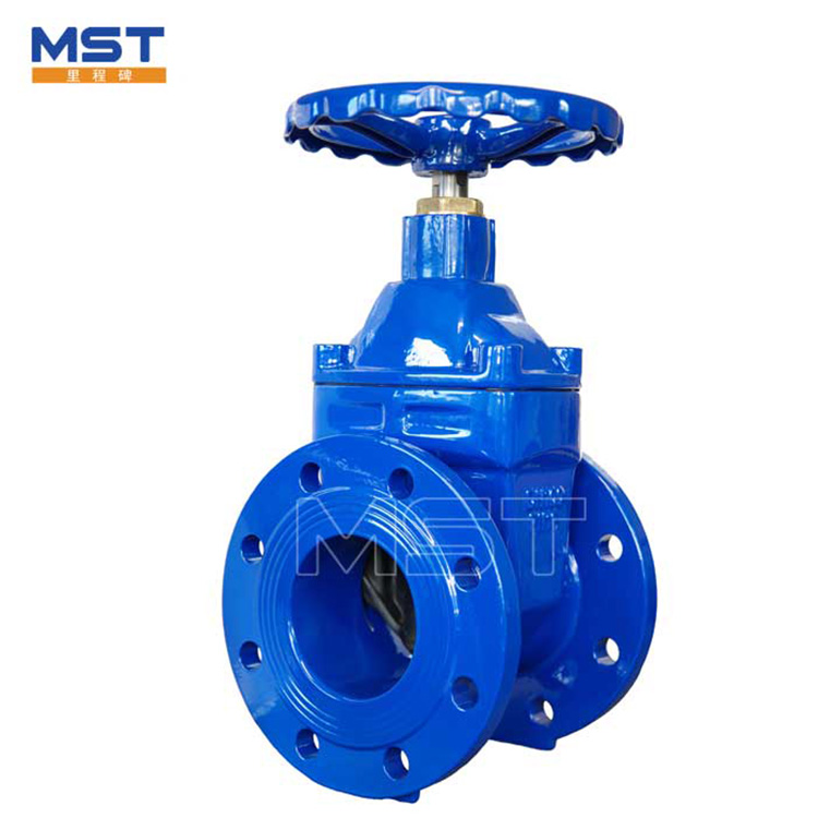 Gate valve type